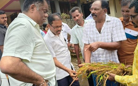 शिवसेना नेते किरण सामंत यांनी  प्रत्यक्षात पाहाळणी केली  शेतकऱ्यांनी आपली कैफियत किरण सामंत यांच्यासमोर मांडली.