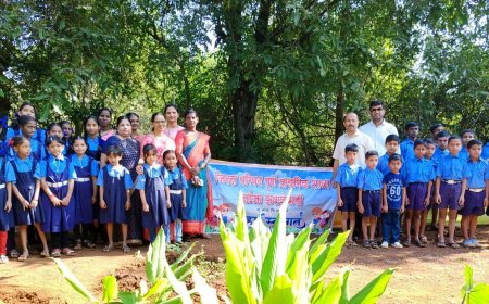 जि.प. शाळा लांजा डाफळेवाडी मुलांच्या परसबागेचा तालुक्यात दुसरा क्रमांक