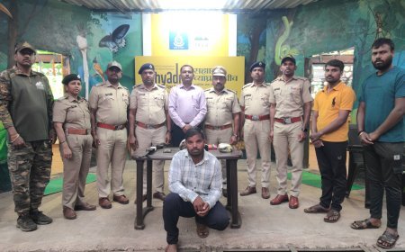 सहयाद्री व्याघ्र राखीव च्या आंबा वनक्षेत्रात लावण्यात आलेल्या कॅमे-यामध्ये शिकारी कैद